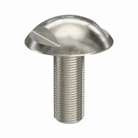 Machine Screw: M6x1.00 Thread Size, 16 mm Lg, Truss Head, Spanner, 316, Stainless Steel, Plain (MPN K1329.06X16)