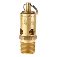 CONRADER Safety Valve: Soft Seat, 1/2 in (M)NPT Inlet (In.), 5/16 in (F)NPT Outlet (In.), Viton (MPN SRV390-1/2-SS-CE-125)