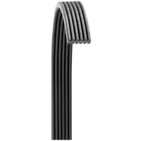 DAYCO Automotive Drive Belt: Serpentine Belt, K Belt Trade Size, V-Ribbed Belt, 5PKK1435, 5 Ribs (MPN 6050565)