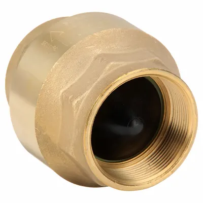 BONOMI VALVE: Swing, Inline Valve Body, 2 in Pipe Size, FNPT x FNPT, Brass - Brass Inline Disc Check Valves