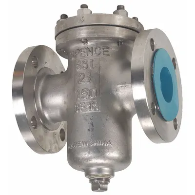 SSI Basket Strainer: Stainless Steel, 0.125 in Screen Size, Single, Flanged - Stainless Steel Basket Strainers