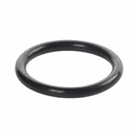 V90 Metric O-Ring: Round C.S. Shape, 1/16 in C.S., 43/64 in Inner Diam., 25 PK (MPN GR-V1.60X017.1/90/25)