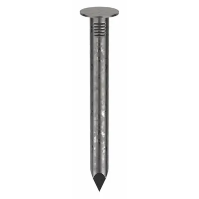 BOSTITCH Framing Nails,1 1/2" L,Plain,PK1000: Connector Nails, Flat, Smooth, Steel - Collated Metal Connector Nails