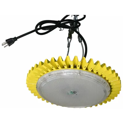 LIND EQUIPMENT Small, Portable, Lightweight: LED, Corded, Tripod Light, 3 ft Power Cord Lg - Hanging Lights