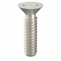 Tamper Resistant Screw: #10-24 Thread Size, 3/4 in Lg, Stainless Steel, Plain, Flat, Spanner, 25 PK (MPN 121890)
