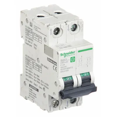 SCHNEIDER Supplementary Protector: 2 A Amps, 500V DC, 5kA at 250V DC, Screw Clamp - DC-Only Rated, 2-Pole UL1077 DIN Rail-Mount Supplementary Protectors