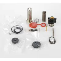 ASCO Valve Rebuild Kit (MPN 306192)