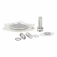ASCO Valve Rebuild Kit (MPN 302785)