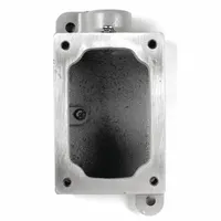 APPLETON ELECTRIC Mounting Body: 1 Gangs, Iron, 1 in Hub Size, Dead End, 7 in Overall Ht (MPN EDS371)