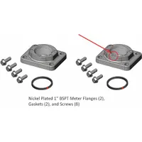 FILL-RITE Meter/Flange Kit 1" BSPT Nickel: Meter Flange Kit, Fill-Rite (MPN KIT900PF1B)