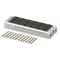 Manifold Kit: 6 Valve Ports, Side-Ported Body, 15°F to 122°F, 45 psi to 140 psi, Female 1/4 in NPT (MPN M26M02-06)