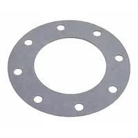 MCDONNELL & MILLER Raised Face Holding Gasket: 325500 Mfr Part #