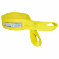 STREN-FLEX Web Sling: Type 4, Polyester, 2 Plies, 16 ft Sling Lg, 11,500 lb Vertical Hitch Capacity (MPN EET-2-904PHV)