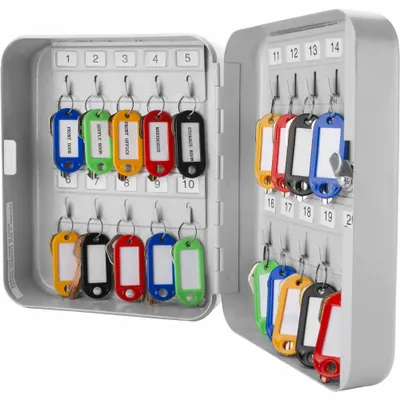 BARSKA Key Cabinet: 20 Key Capacity, Single Key Lock, Steel, Gray, 8 in Ht, 6 1/4 in Wd - Key Cabinets with Key Lock