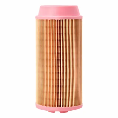FLEETGUARD Automotive Air Filter: Round-Oval, Round, Radial Seal, 4 17/32 in Outside Dia - Round/Oval Engine Air Filters