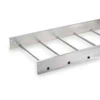 Ladder Tray: 24 in Wd, 5 1/4 in Ht, 12 ft Ladder Tray Lg, Aluminum, 100 lb (MPN 3B48-24SL-12-09)