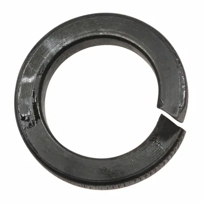 DAYTON Lock Washer: For 3TP98G/3TP99G/3TR01G, Fits Dayton Brand - GGS Material Handling Parts