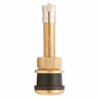 This clamp-in tire valve stem is designed for trucks and buses. It features a straight shape with a 180° valve stem angle and a 0.305-32 thread size. Constructed of brass metal, it is used for tire inflation and pressure monitoring on heavy-duty commercial vehicles