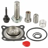 ASCO Valve Rebuild Kit (MPN 316083-E)