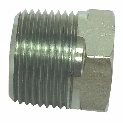 PARKER Hydraulic Hose Plug: Stainless Steel, 1 1/2 in Fitting Size - Hydraulic Hose Plugs