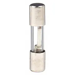 Time-delay cylindrical fuse rated 250 mA at 250 V AC. 1/4 in x 1 1/4 in body size. Designed to tolerate temporary inrush currents without nuisance opening, suitable for circuits with inductive loads or motor starting surges.