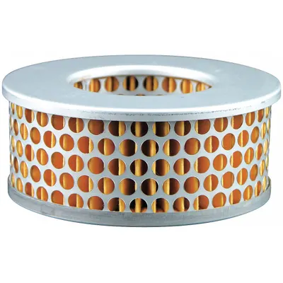 BALDWIN FILTERS Round/Oval Engine Air Filter PA4824 - Round/Oval Engine Air Filters