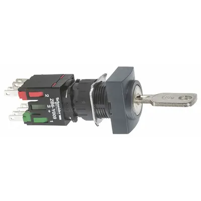 SCHNEIDER Selector Switch: 2 Position, 16 mm Panel Mounting Size, 1NO/1NC - Panel-Mounted Key Switches with Contacts