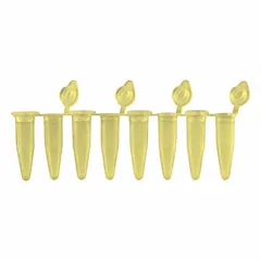 APPROVED VENDOR PCR Strip Tubes, 0.2 mL, Polypropylene, Yellow, Conical Bottom, Attached Flat Caps