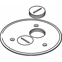 WIREMOLD Floor Box Cover: Round, Gold, Brass, Brushed, 5 1/2 in Dia. x 1/4 in H (MPN 895SP)