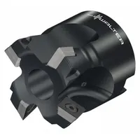 WALTER Indexable Face Mill: M4002-042-B16-04-015 (MPN 6841257)