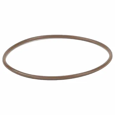 BANJO Line Strainer Gasket (MPN MLS220G1V) - Replacement Inline Strainer Gaskets