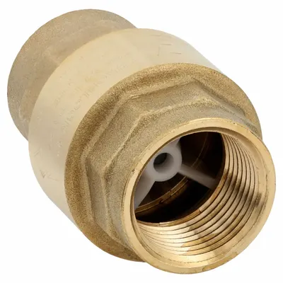BONOMI VALVE: Swing, Inline Valve Body, 1 in Pipe Size, FNPT x FNPT, Brass - Brass Inline Disc Check Valves