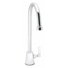 Single-post laboratory faucet for cold or hot water media. Features a chrome finish and lever handle. Inlet connection type is NPSM. Suitable for use in laboratories and similar settings requiring controlled water dispensing.