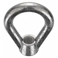 Eye Nut: 1/2"-13 Thread, Stainless Steel, Plain, Oval, 1 1/4 in Inside Dia, 2 in Outside Dia (MPN EN-5-316SS)
