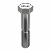 Hex Head Cap Screw: Stainless Steel, A4, NL-19, 3/4"-10, Coarse, 3 1/4 in lg, Globally Sourced, Inch (MPN FB3HEXB3410314)