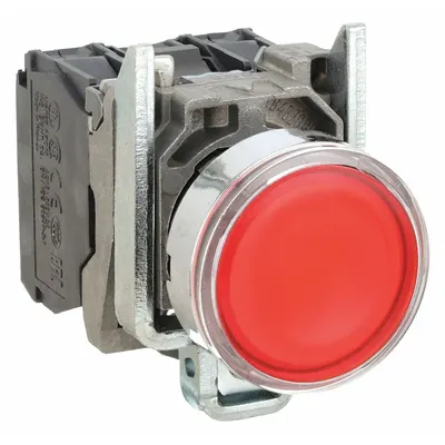 SCHNEIDER Illuminated Push Button: Illuminated, Flush Profile, Metallic, 22 mm - Illuminated Flush-Mount Push Buttons