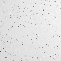 Mineral fiber ceiling tile for cleanrooms, sized 24 in x 24 in with a square lay-in design for 15/16 in grid systems. Sold in a 12-pack, it features a white finish and is suitable for environments requiring controlled air quality and ceiling integrity.