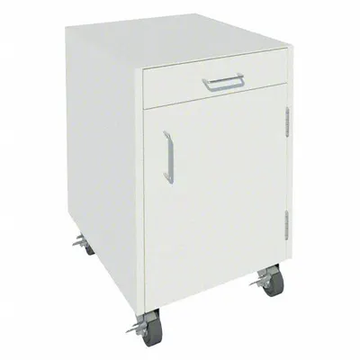 INSTOCK Mobile Cabinet: 27 1/8 in Overall Ht, 22 in Overall Dp, 18 in Overall Wd - Mobile Cabinets