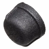 Cap: 1/4 in, Threaded, Class 150, 150 psi @ 72°F, Cap, Malleable Iron (MPN ZUSA-PF-23053)