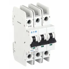 This 3-pole miniature circuit breaker features a C-curve trip characteristic for moderate inrush currents. Rated 15 A with a maximum interrupting rating of 14 kA at 277/480 V AC and DC voltage rating of 48/96 V DC. Screw clamp terminals facilitate wiring in industrial control panels and distribution boards.