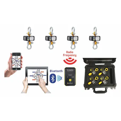 RON CRANE SCALES Crane Dynamometer: 16,000 lb Wt Capacity - Imperial, +/-0.1% Accuracy