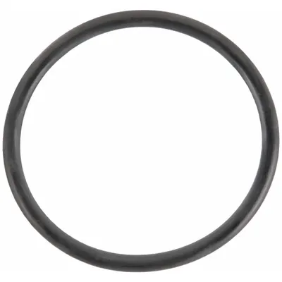 BANJO LST100-G T Strainer Gasket, EPDM, 1/8 in Ht, 2 3/32 in Lg - Replacement Inline Strainer Gaskets