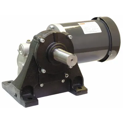Dayton Gearmotor: Right Angle, Single Output Shaft, 3-Phase, TEFC, 30 RPM - Right Angle AC Gearmotors