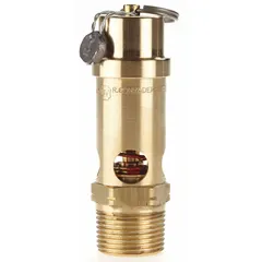 Soft seat pneumatic safety valve with 3/4 in (M)NPT inlet, preset at 125 psi. Brass body with silicone soft seat. Used for overpressure protection in compressed air and pneumatic systems.