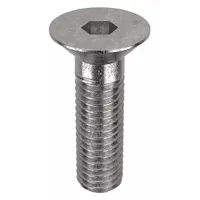 Socket Flat Head Screw: M8x1.25 Thread Size, 25 mm Lg, Flat, NL-19, Stainless Steel, 18-8, 25 PK (MPN FBMFHEADS812525P25)