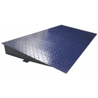 ADAM EQUIPMENT Scale Ramp: Scale Ramp, 4 1/2 in Overall Ht, 39 3/8 in Overall Wd, 25 in Overall Lg (MPN 700100199)