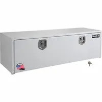 BUYERS PRODUCTS Underbody: Underbody Truck Box, Single Drop-Down Door Door, 18 in Overall Dp, White (MPN 1702417)