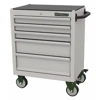 WESTWARD Rolling Tool Cabinet: Silver / Silver Drawer, 29 7/8 in W x 18 1/8 in D x 34 5/16 in H