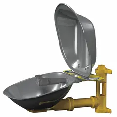 Wall-mount eyewash station with stainless steel bowl and covered eye coverage. Activated by push plate. Designed for emergency eye irrigation in industrial facilities such as labs, factories, and maintenance areas.