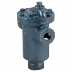 Cast-iron inverted-bucket steam trap with 1/2 in FNPT connections, rated for 1000 lb/hr capacity at 30 psi maximum pressure and 450°F maximum temperature. Designed for horizontal in-line installation to remove condensate from steam lines in heating and process systems. Strainer not included.